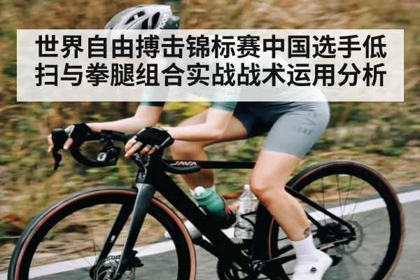 世界自由搏击锦标赛中国选手低扫与拳腿组合实战战术运用分析（kaiyun）